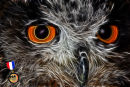 Beady Eyes