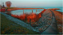 Frosty Morning – Medemblik Netherlands