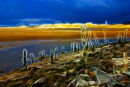 The Shoreline