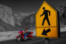 Yosemite - Tourist Options