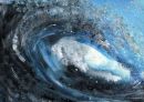 SURF 1