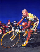 Pantani The Pirate