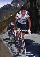 Stephen Roche