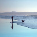 Exercising the Dog