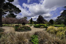 The Garden