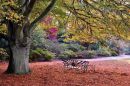 Solitude