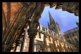 Through the Cloisters