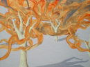 WOOD-FOR-THE-TREES III