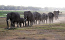 Af43 Single File