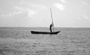 Af5 Fisherman