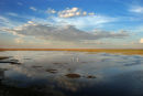 Af88 Wetlands