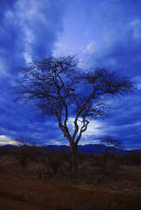 Af91 Dark Skies