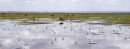 Af92 Amboseli