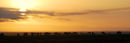 Af96 Kenya Sunrise