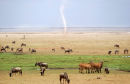 Af98 Amboseli Twister