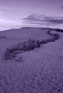 NE114 Dune