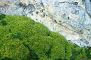 Lichen and Granite