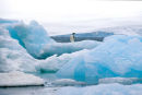 Blue Ice Adelie