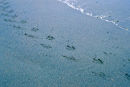 Surf, Sand and Steps