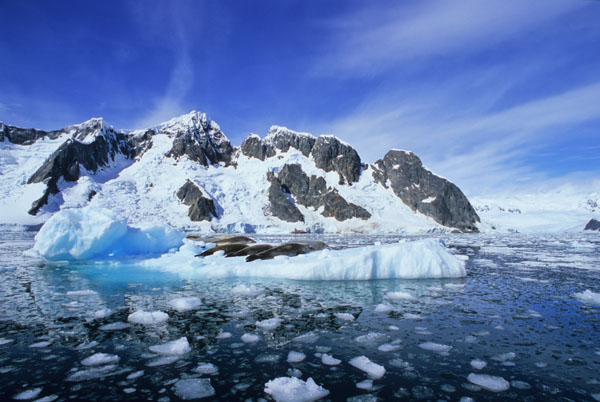 A Slice of Ice