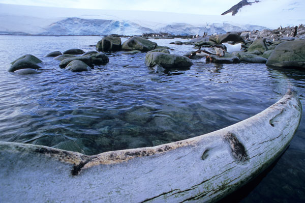 Lost Souls of Lockroy