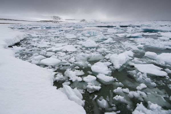 Brash Ice Bay
