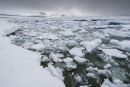 Brash Ice Bay
