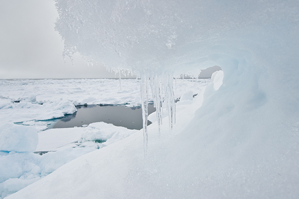 Pressure Ridge Ice Melt
