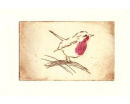 unframed cock robin etching
