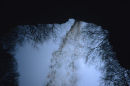 Hardraw Force