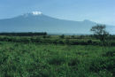 Kilimanjaro