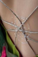 Detailed photograph for a designer