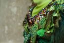 Detailed photo for a designer
