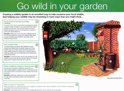 Garden Wildlife Leaflet - Bracknell Forest Council - Acrylic
