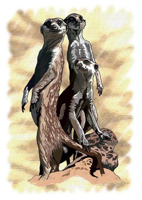 Meercats
Digital