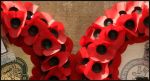 Poppy Curves