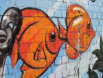 Fishes on the Wall