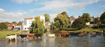 Scene and herd