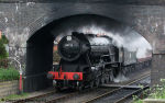 Steam