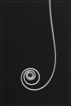 The coil