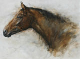 Gary Benfield - Thoroughbred Profile