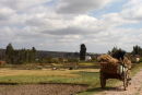 Harvest Time