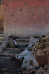 tannery_04, Marrakech