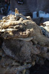 tannery_09, Marrakech