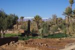 Oasis, Atlas Mountains_01