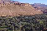 Palmerie, Morocco