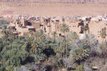 kasbah and palmerie
