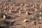cemetery in the desert