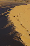 sand dune, Sahara Desert_01
