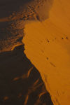 sand dune, Sahara Desert_03